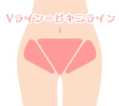 Vライン＝ビキニライン