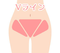 一般的なVラインの範囲